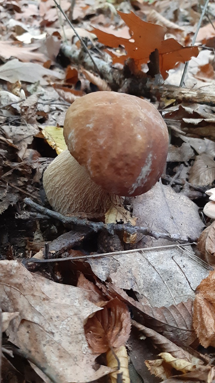 ?