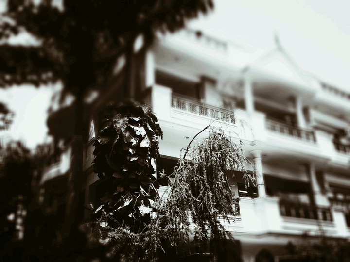 Black n white wallpaper