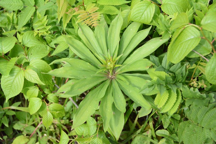 산이미지