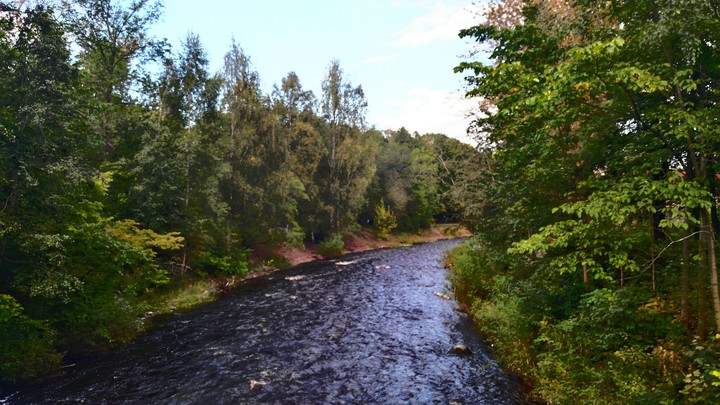 Природа Карелии