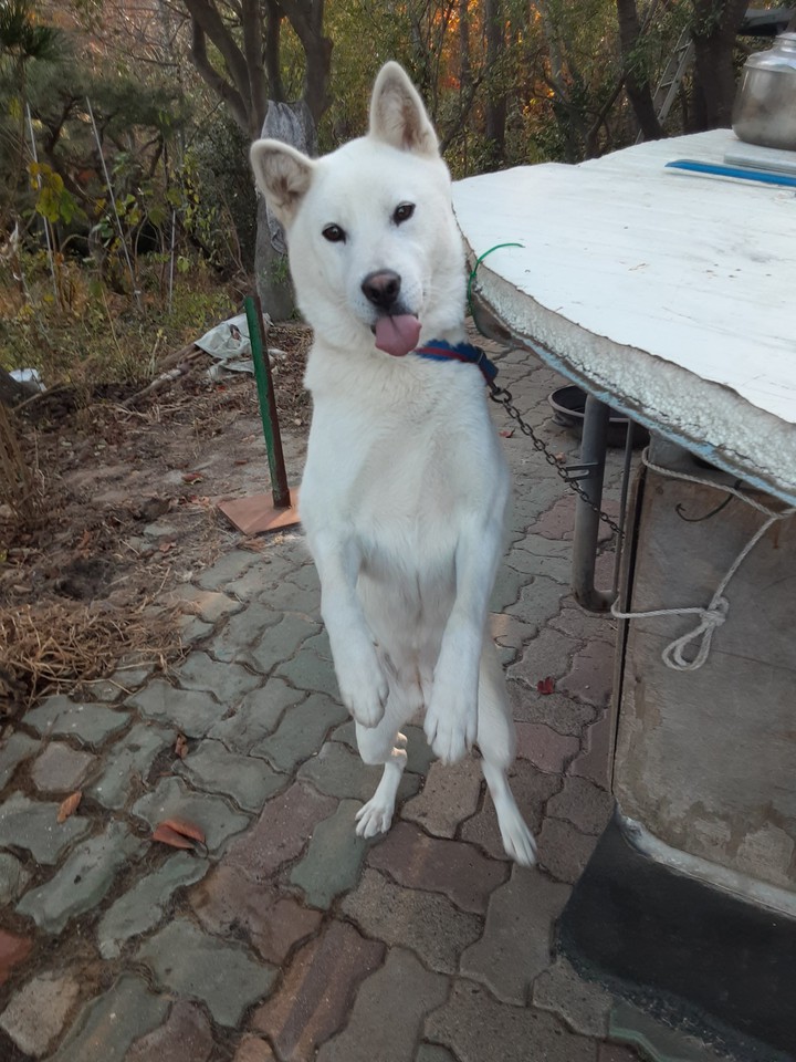메~~롱