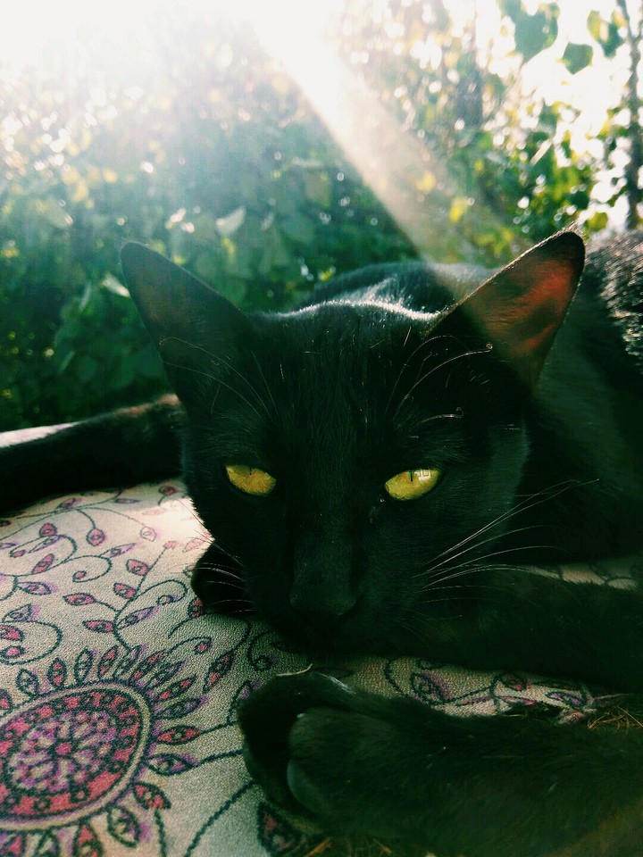 met on a trip to Riwalsar