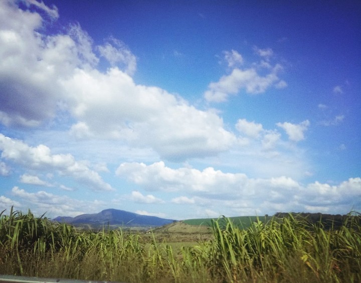 Azul e Verde