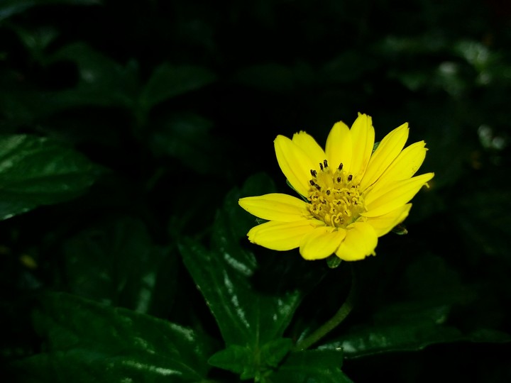 #Swanjay_photography...