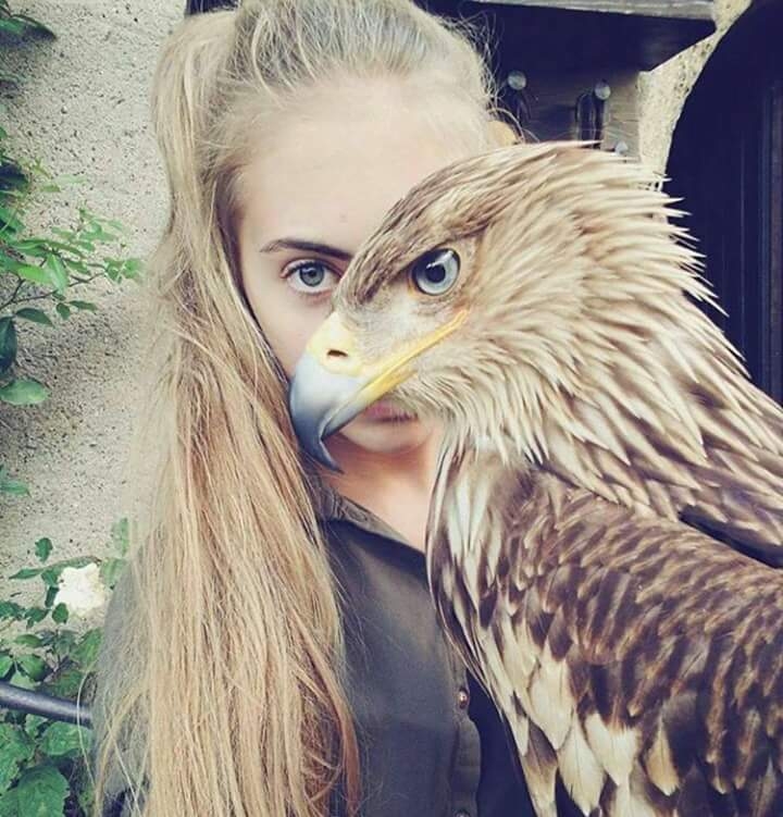 eye's