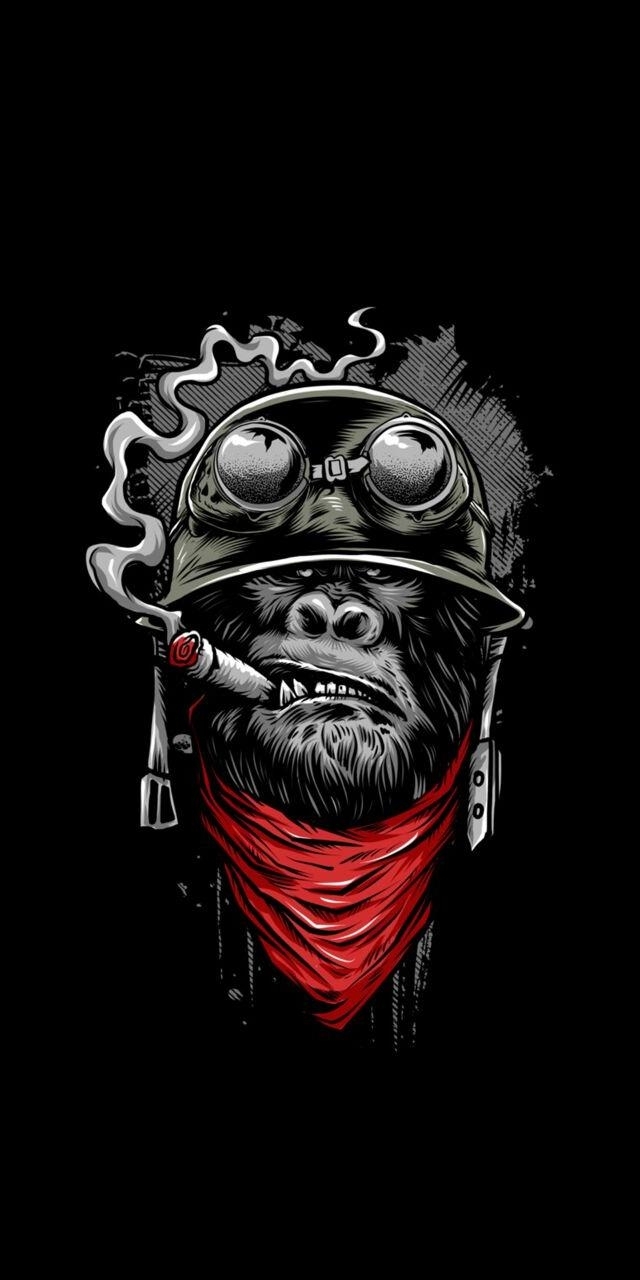 Kong