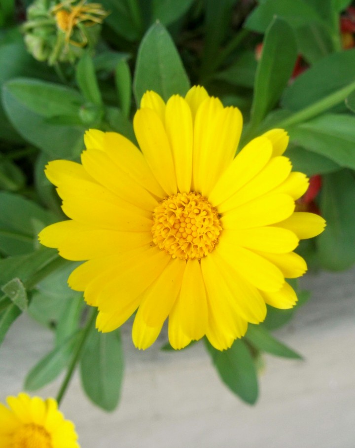 Yellow!!