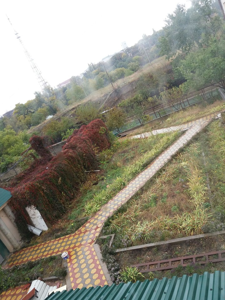 осень