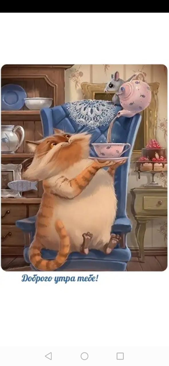 Good morning everyone☕?