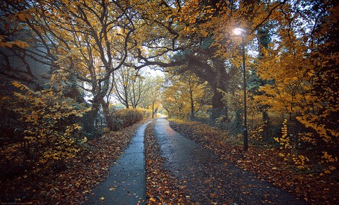 Norwich,uk