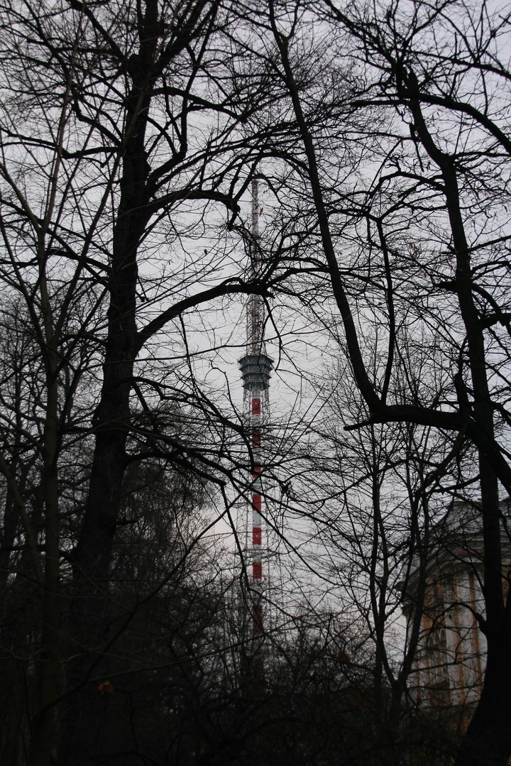 The tower