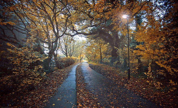 Norwich,uk