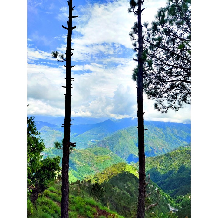 Nature