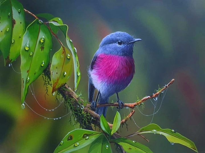 bird