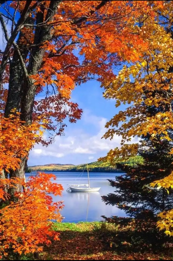 beautiful view