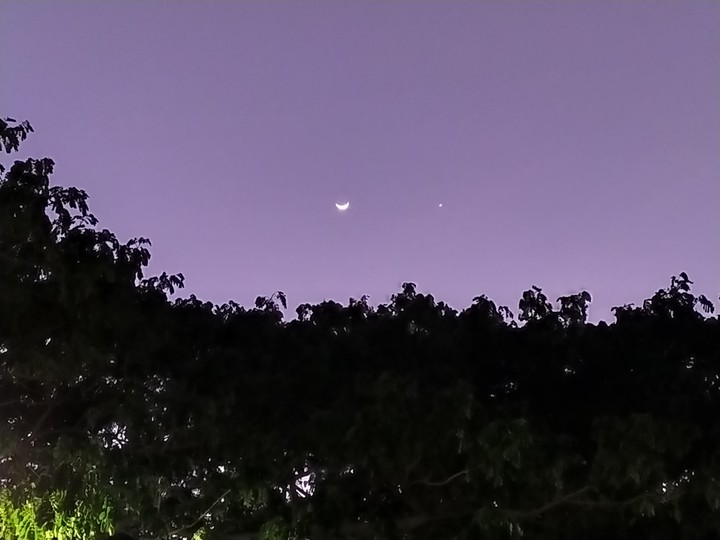 Moon's ? And ? Star's