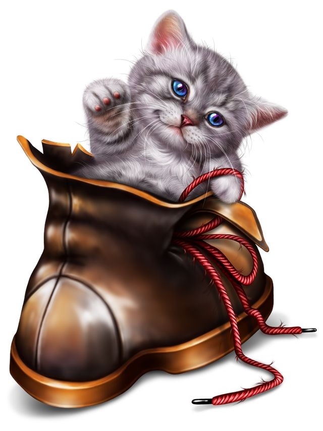 A Little Cat Playing