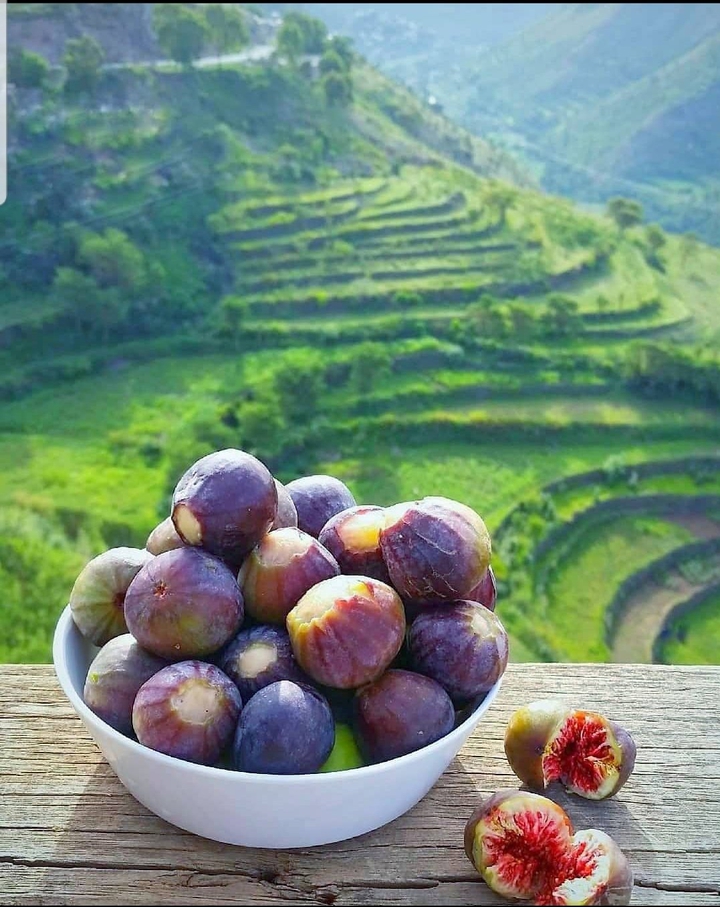 YEMEN