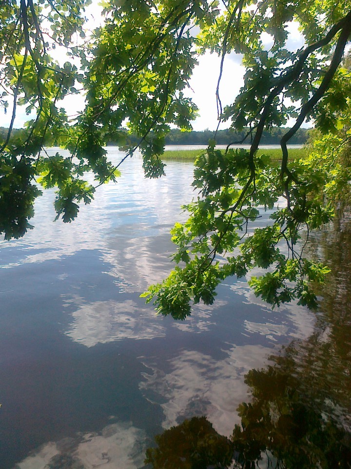 Serenity