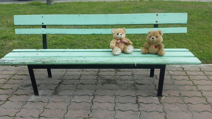 bear