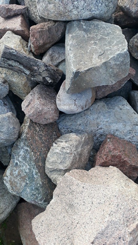 Nature 3