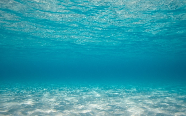 The Ocean