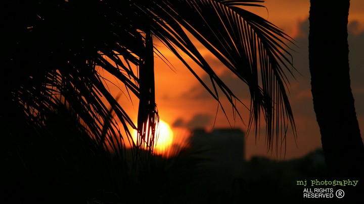 sunset