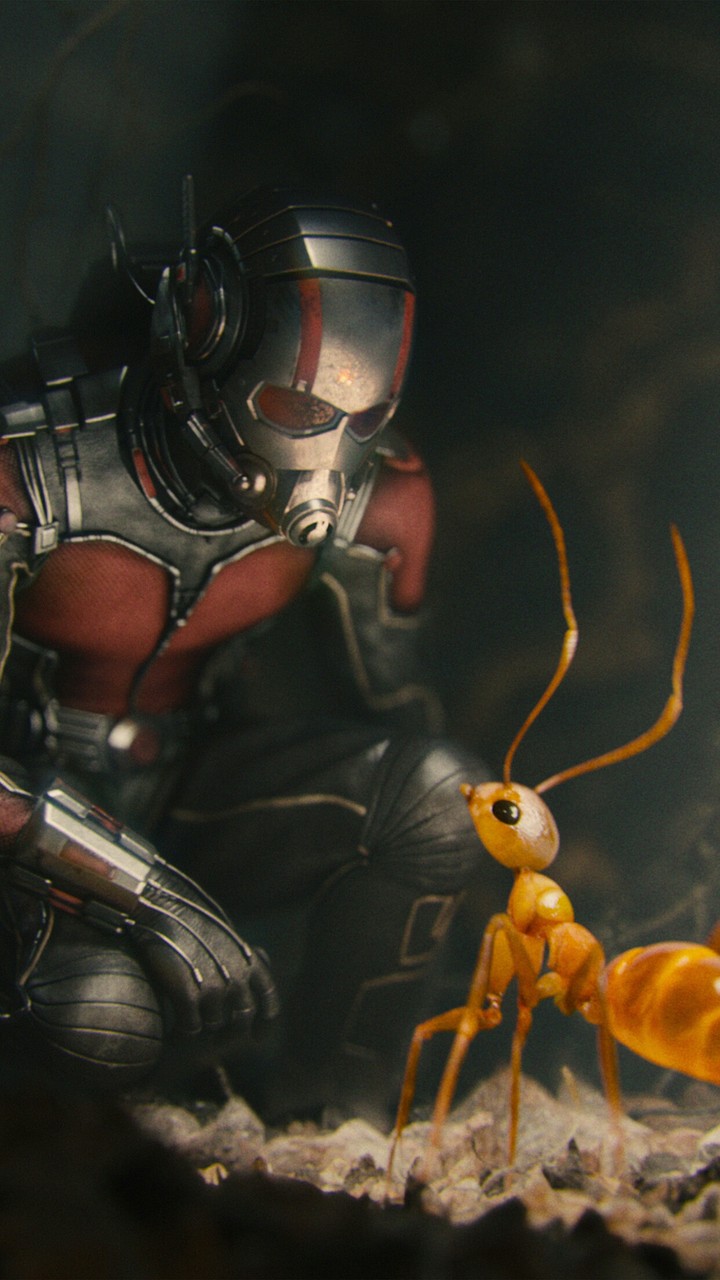 Antmen meets ant