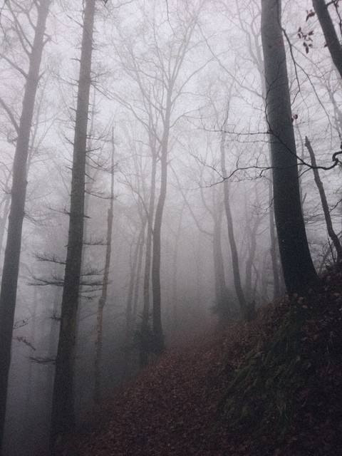 into the mystic