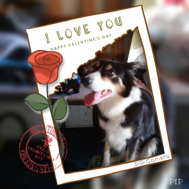 minha princesa Lola