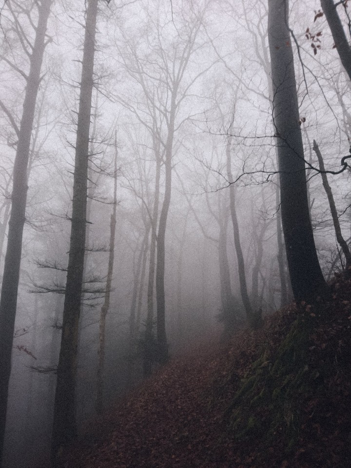 into the mystic