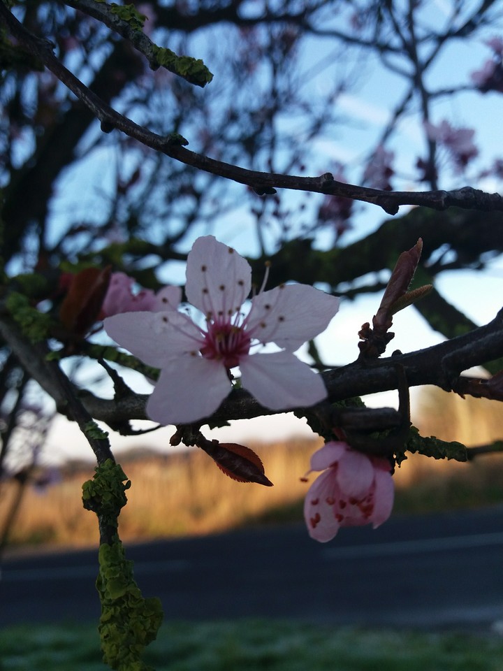 Spring?