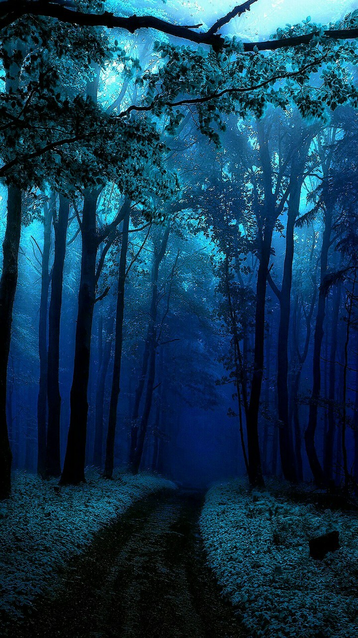 Telegram=@wallpapers_phone_pc
