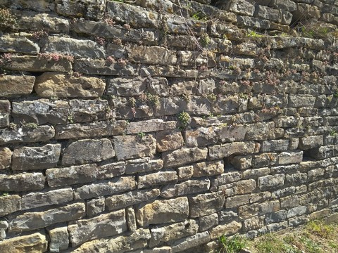 Wall