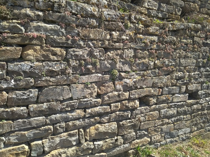 Wall