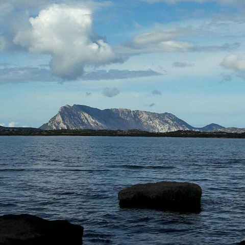 tavolara island (sardinia)