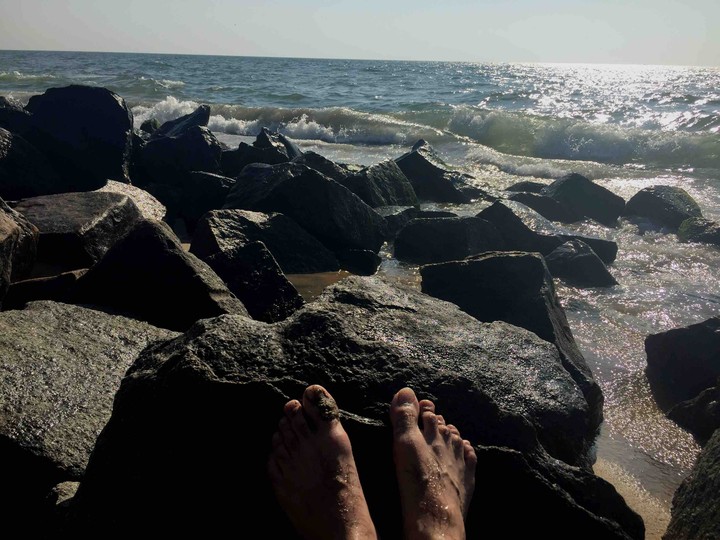 Lurking on the beach.