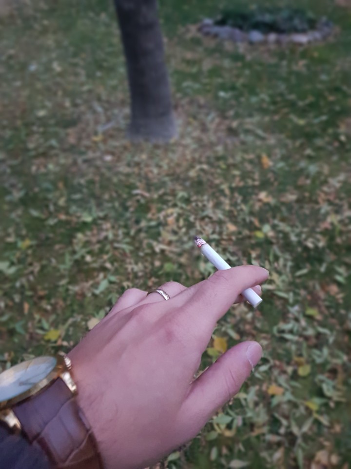 fall smoke