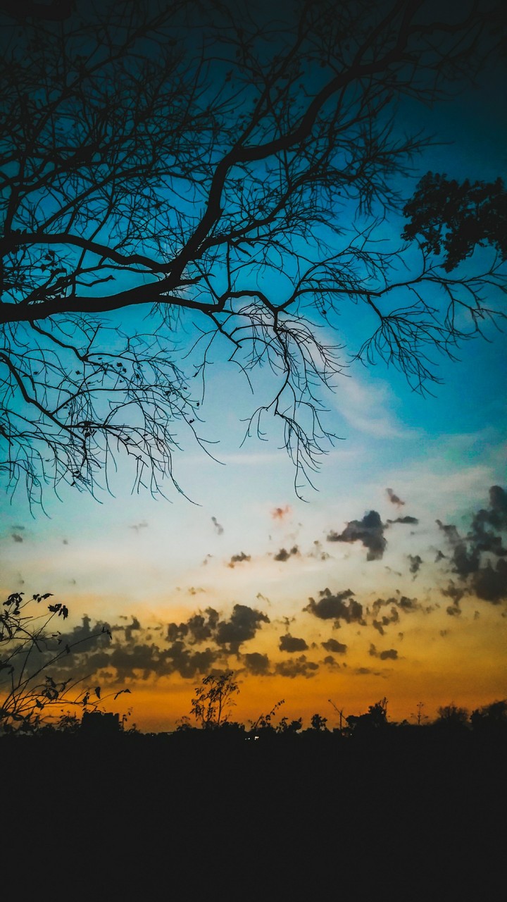 nature