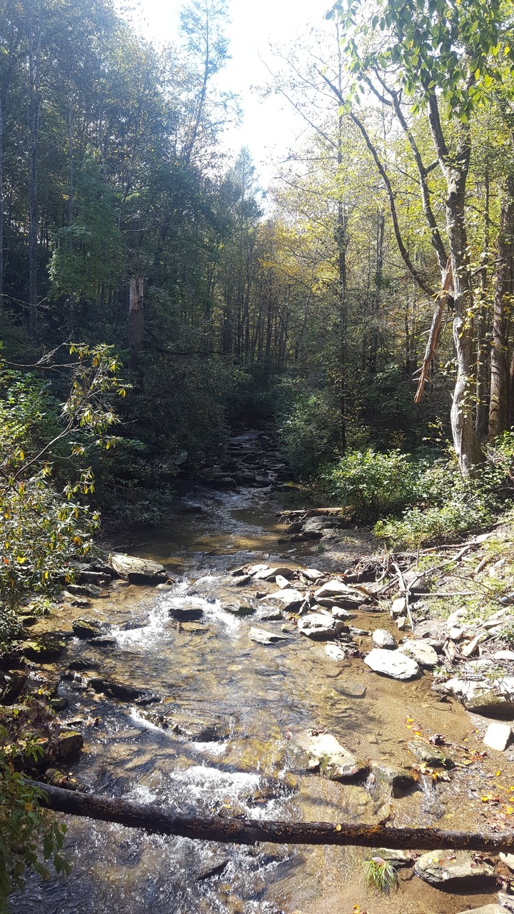 Trail Life