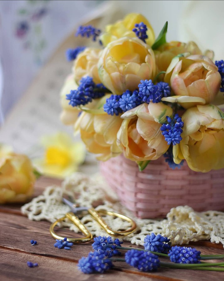Bouquet
