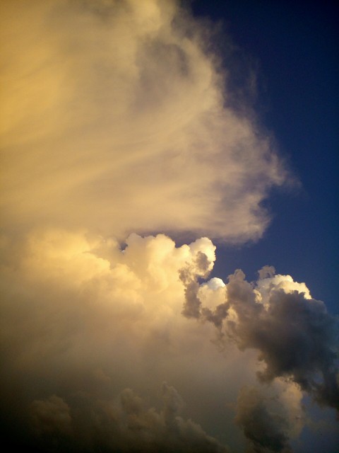 amazing