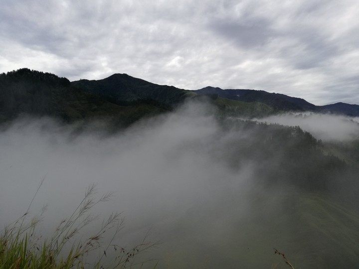 Sea of fog.