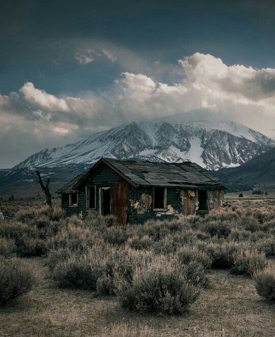 Mountain