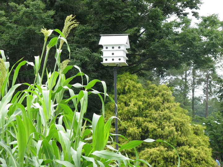 Birdhouse, Longwood Gardens, Pennsylvania, USA