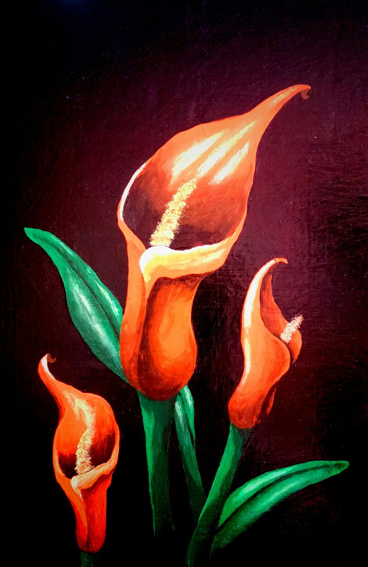 Red Calla Flower