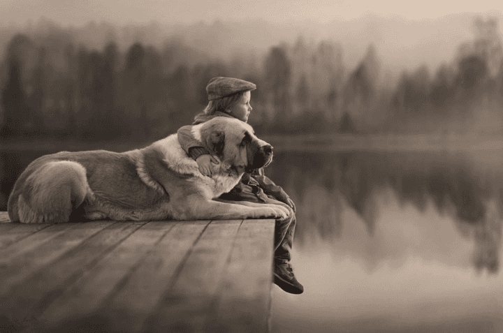 dog and boy