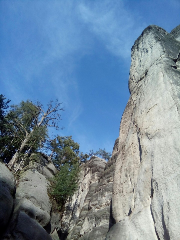 Rocks