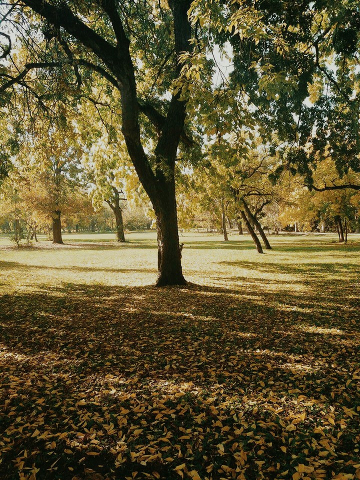take a walk