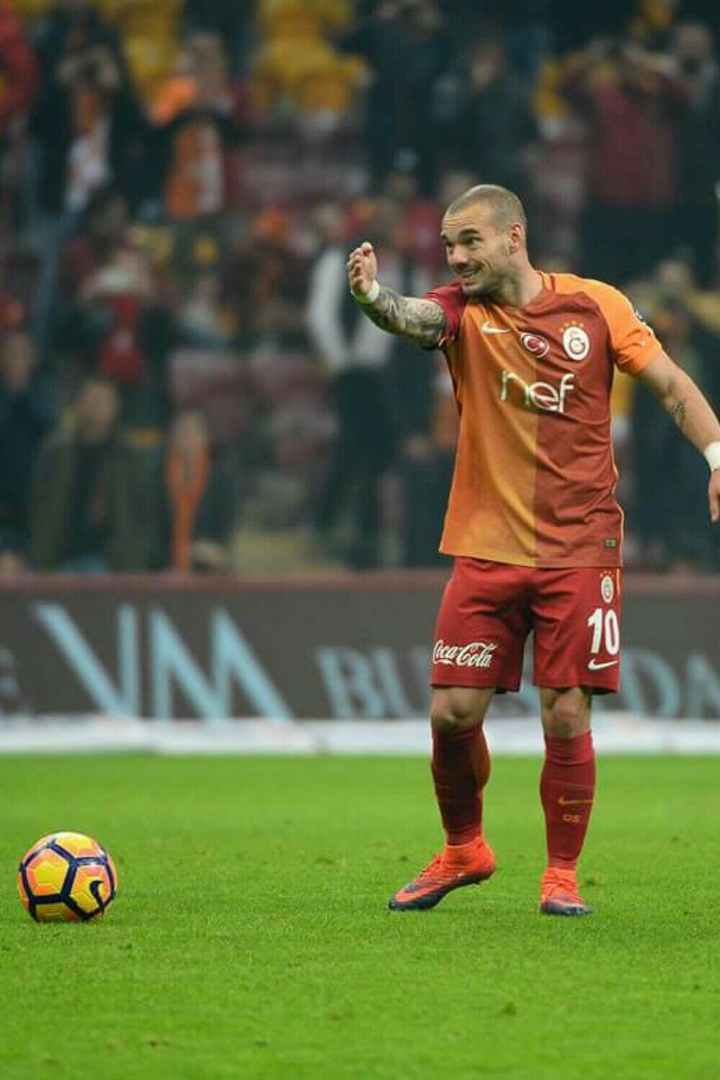 wesley sneijder frikik